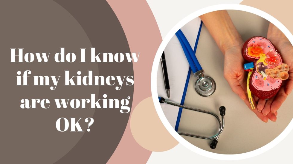 How do I know if my kidneys are working OK