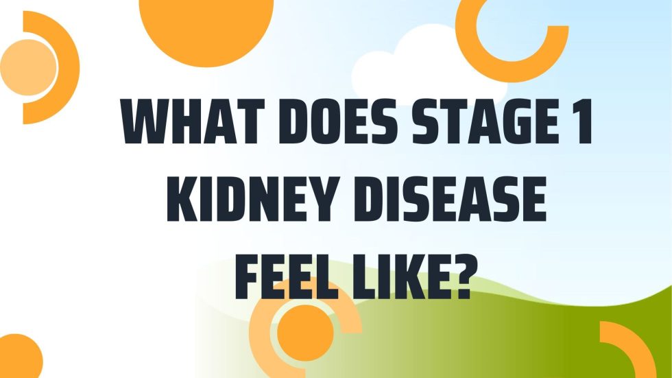 What Does Stage 1 Kidney Disease Feel Like Surprising Signs That Could Change Your Life!