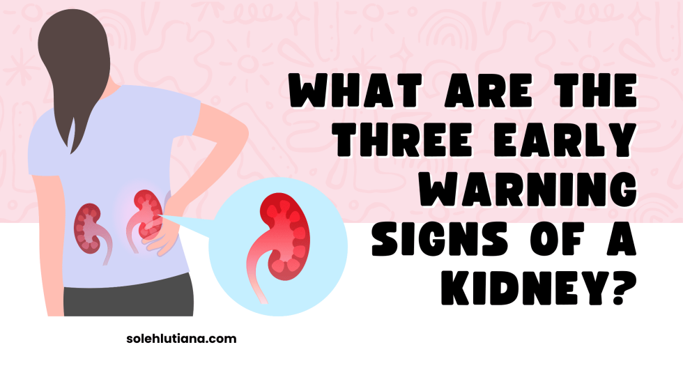 What are the three early warning signs of a kidney