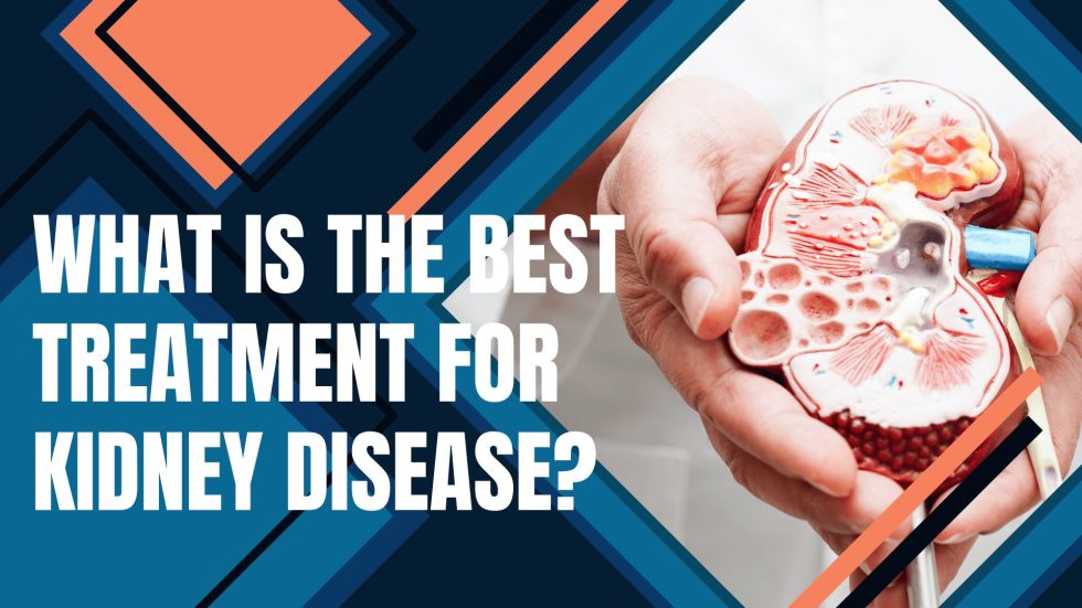 What is the best treatment for kidney disease