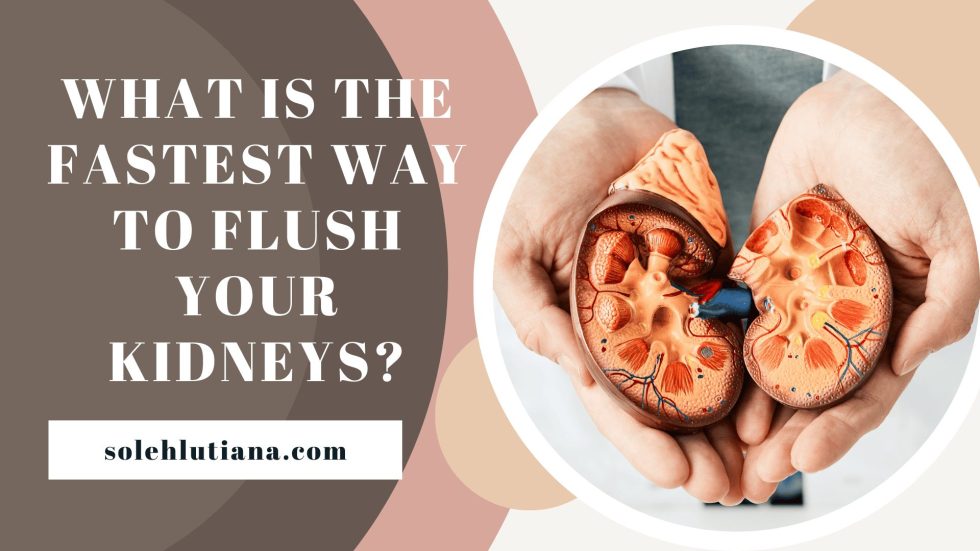 What is the fastest way to flush your kidneys