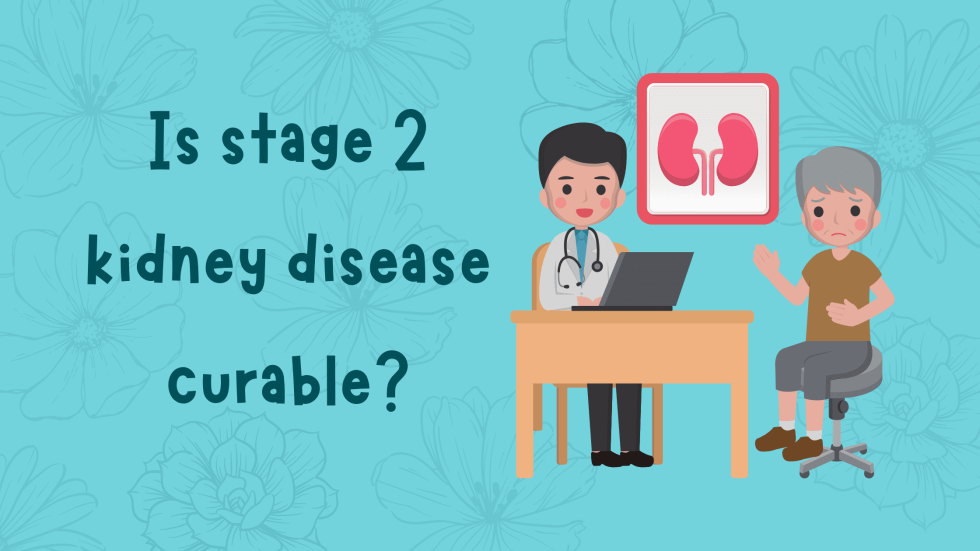 Is stage 2 kidney disease curable