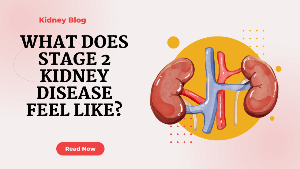 What does stage 2 kidney disease feel like