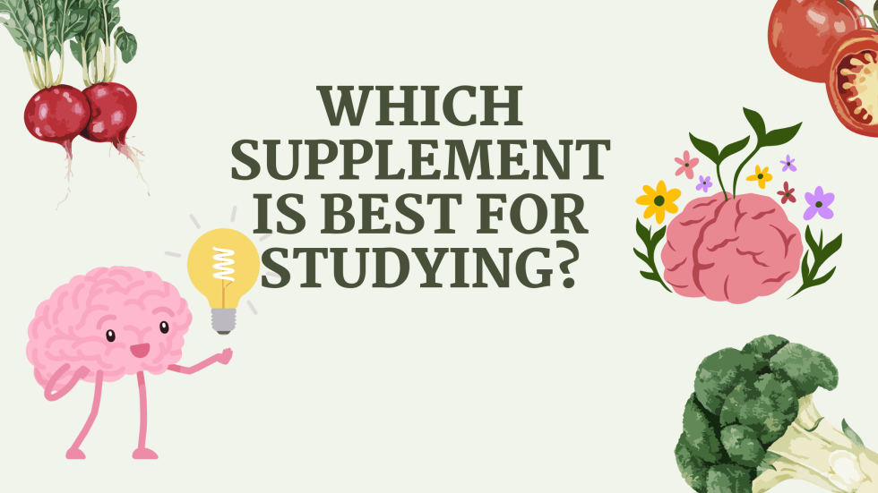 Which supplement is best for studying