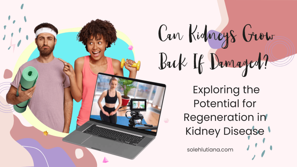Can Kidneys Grow Back If Damaged Exploring the Potential for Regeneration in Kidney Disease