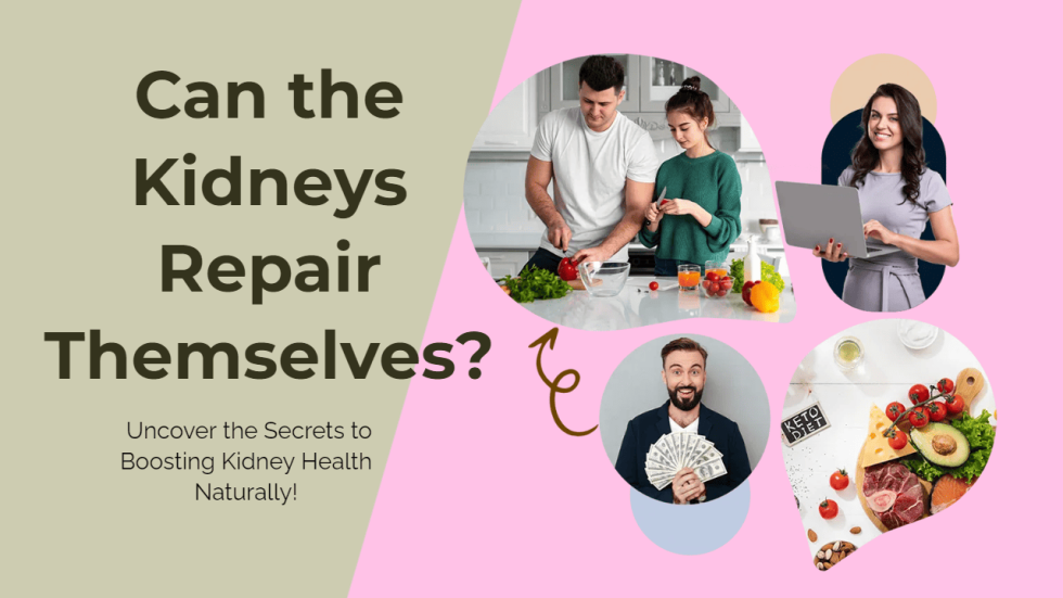 Can the Kidneys Repair Themselves Uncover the Secrets to Boosting Kidney Health Naturally!