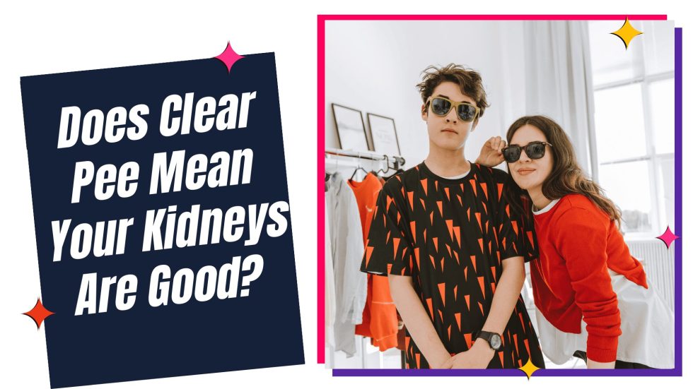 Does Clear Pee Mean Your Kidneys Are Good Debunking Myths and Revealing the Truth About Kidney Health