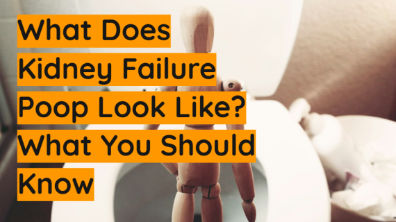 What Does Kidney Failure Poop Look Like What You Should Know