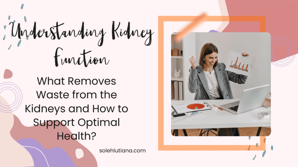 What Removes Waste from the Kidneys and How to Support Optimal Health