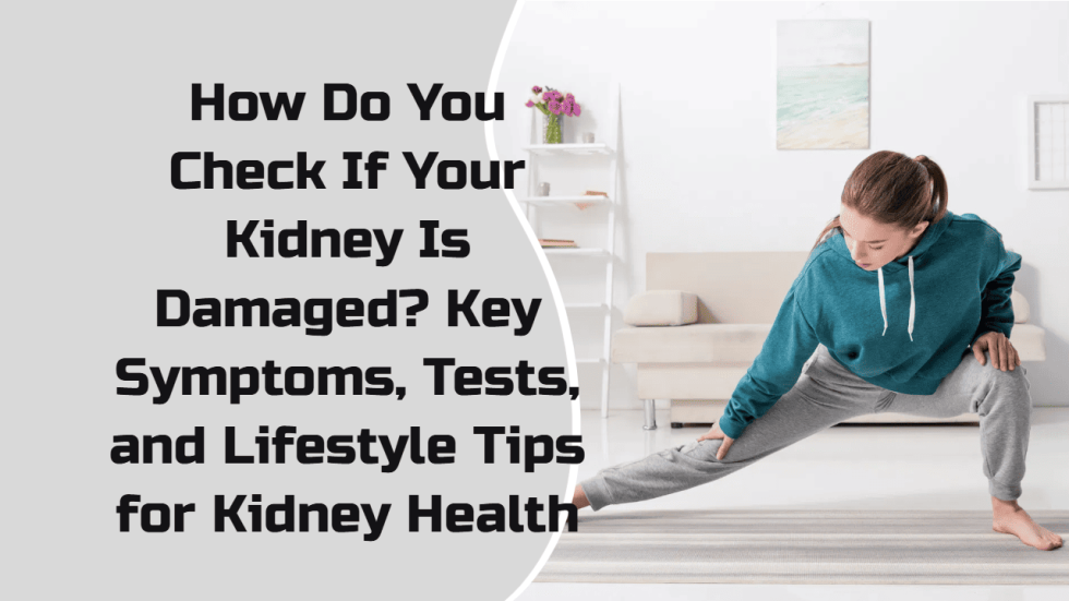 How Do You Check If Your Kidney Is Damaged Key Symptoms, Tests, and Lifestyle Tips for Kidney Health