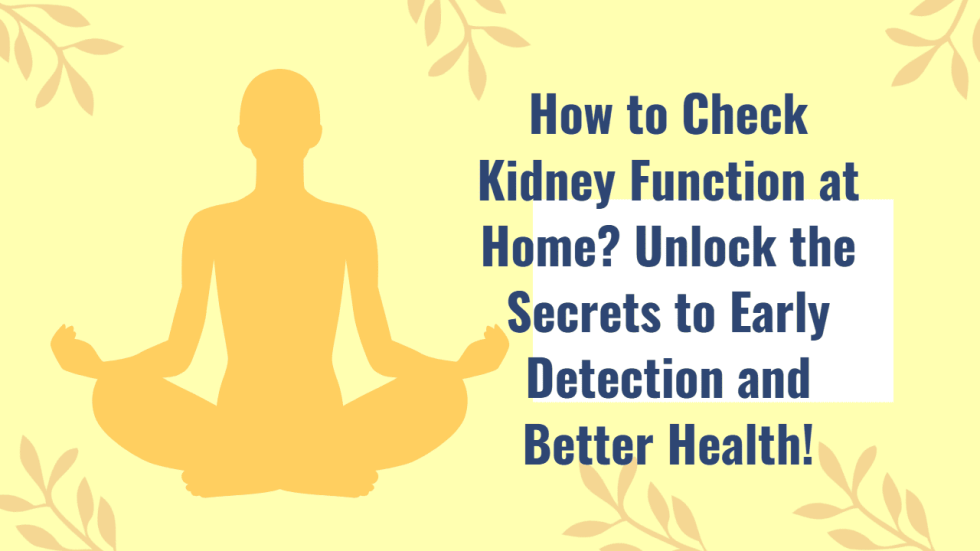 How to Check Kidney Function at Home Unlock the Secrets to Early Detection and Better Health!