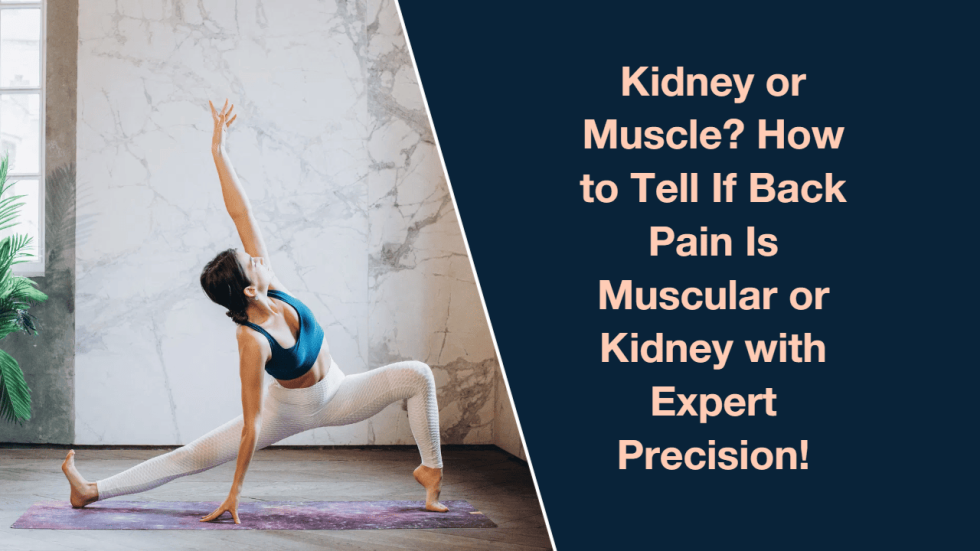 Kidney or Muscle How to Tell If Back Pain Is Muscular or Kidney with Expert Precision!