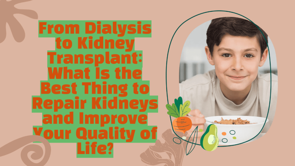 From Dialysis to Kidney Transplant What Is the Best Thing to Repair Kidneys and Improve Your Quality of Life